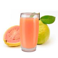 SUCO DE GOIABA COM ÁGUA 500ML