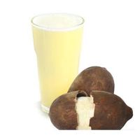SUCO DE CUPUAÇÚ COM ÁGUA 500ML